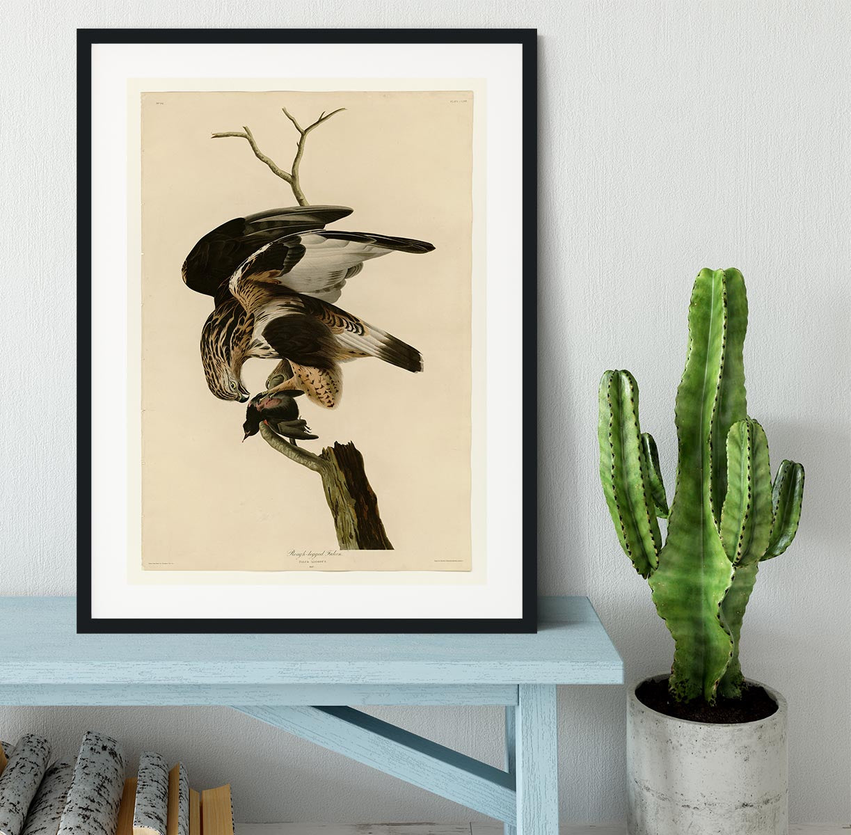 Rough legged Falcon by Audubon Framed Print - Canvas Art Rocks - 1