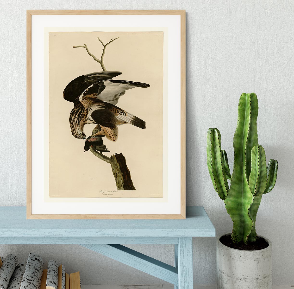 Rough legged Falcon by Audubon Framed Print - Canvas Art Rocks - 3