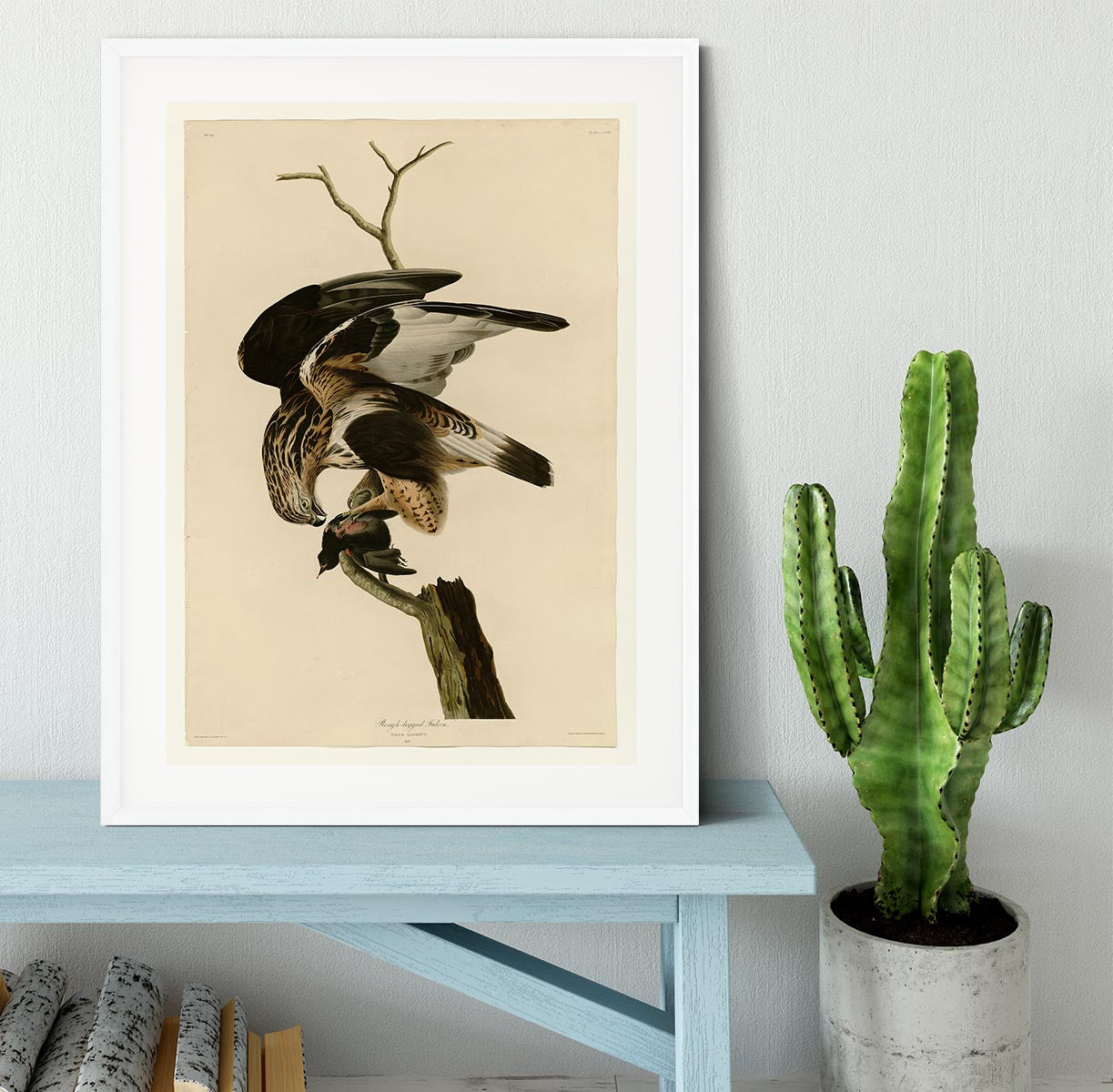 Rough legged Falcon by Audubon Framed Print - Canvas Art Rocks - 5