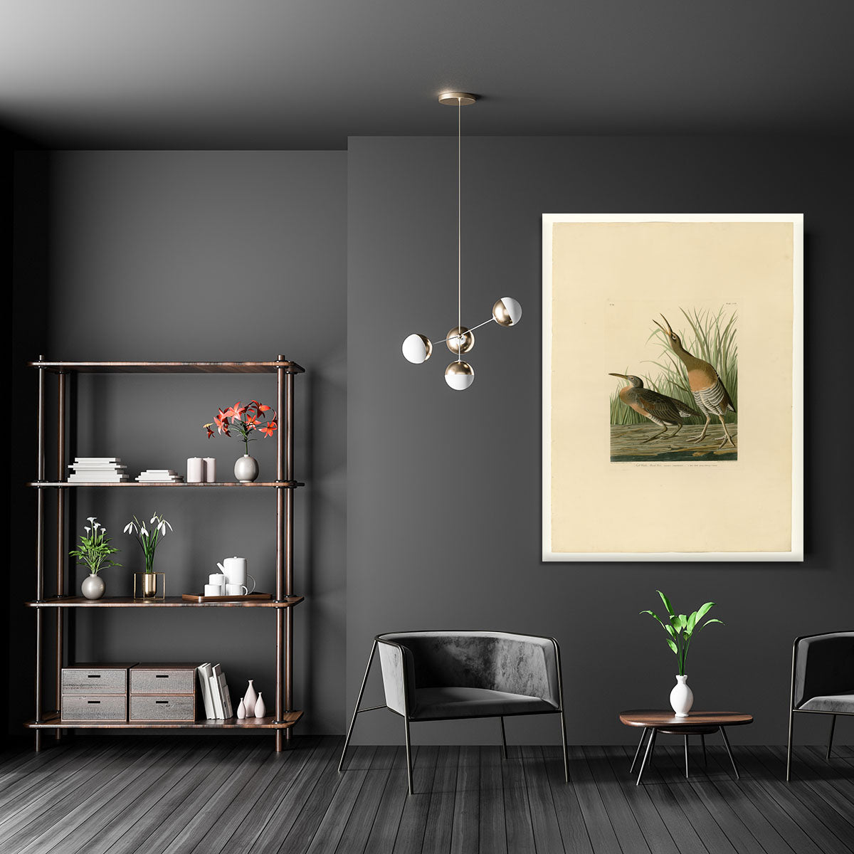 Salt Water Marsh Hen by Audubon Canvas Print or Poster - Canvas Art Rocks - 5