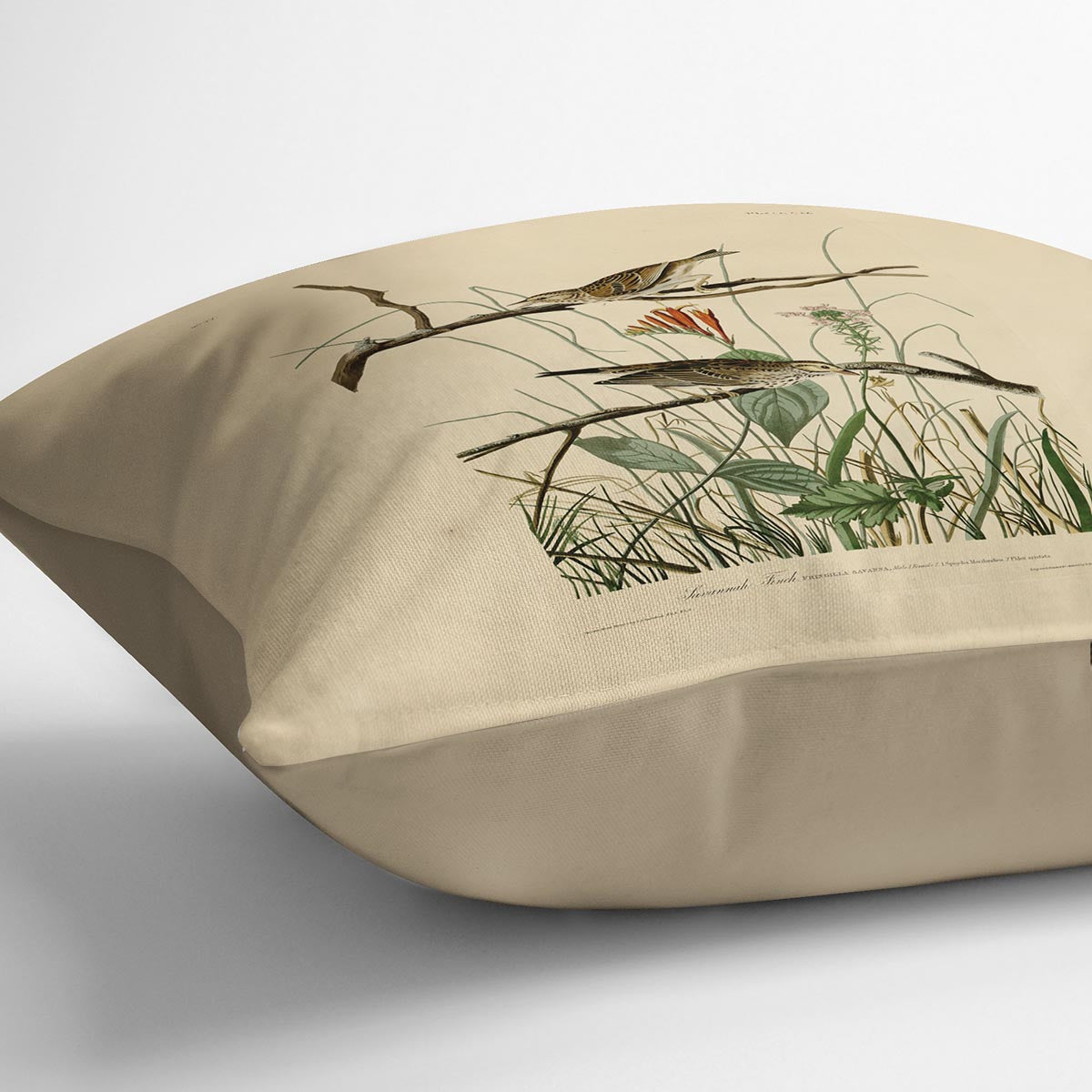 Savannah Finch by Audubon Cushion