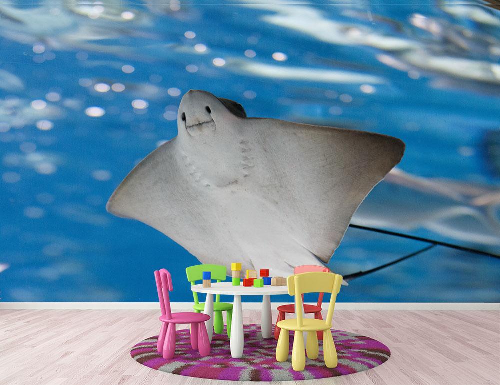 Sea stingray and marine life Wall Mural Wallpaper - Canvas Art Rocks - 2