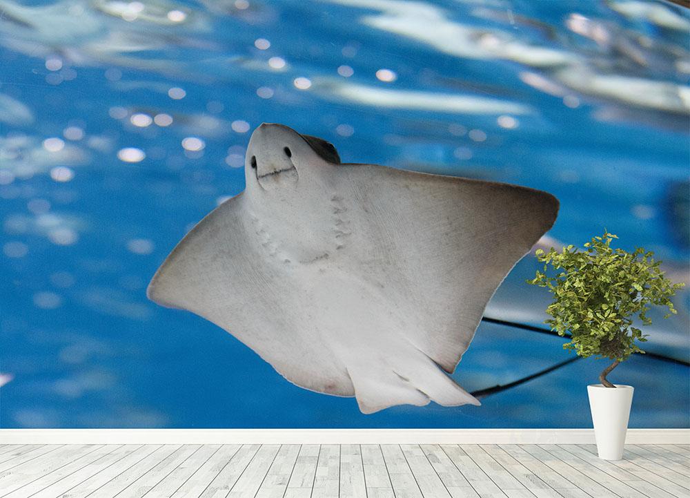 Sea stingray and marine life Wall Mural Wallpaper - Canvas Art Rocks - 4