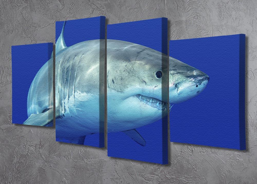 Shark swimming looking for food 4 Split Panel Canvas - Canvas Art Rocks - 2