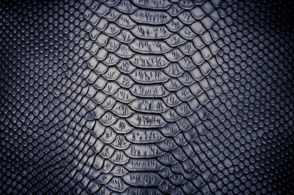 Snake skin texture Wall Mural Wallpaper - Canvas Art Rocks - 1