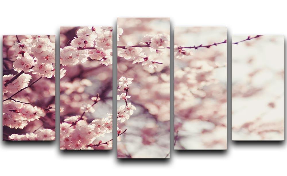 Spring Cherry blossoms 5 Split Panel Canvas - Canvas Art Rocks - 1