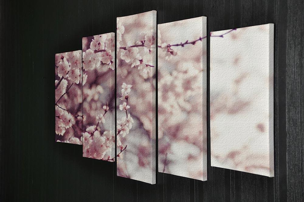 Spring Cherry blossoms 5 Split Panel Canvas - Canvas Art Rocks - 2