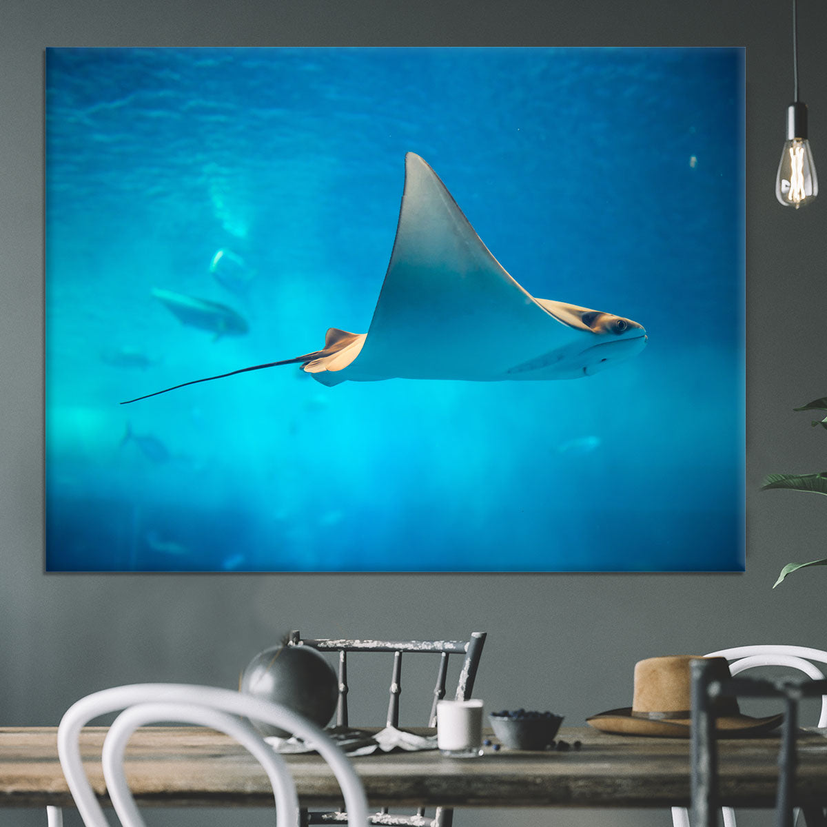 Stingray in the aquarium Canvas Print or Poster - Canvas Art Rocks - 3