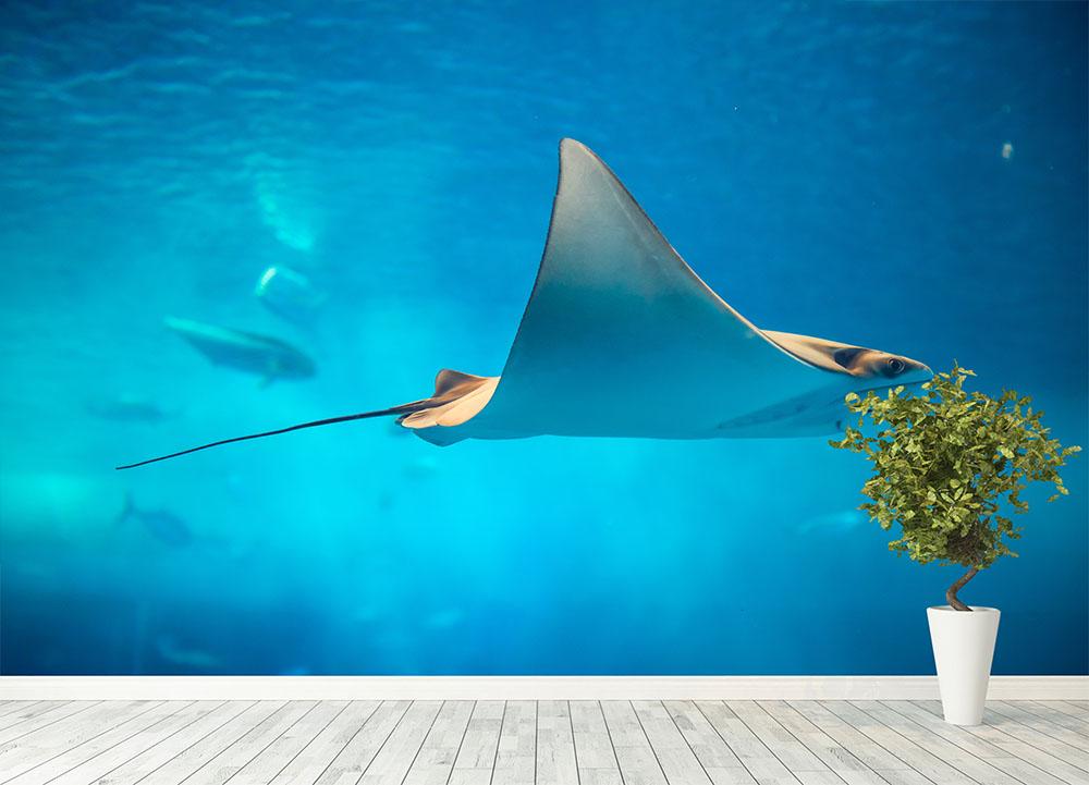 Stingray in the aquarium Wall Mural Wallpaper - Canvas Art Rocks - 4