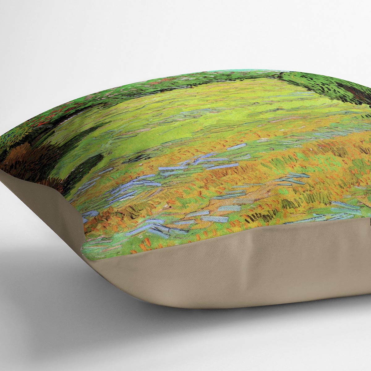Sunny Lawn in a Public Park by Van Gogh Cushion