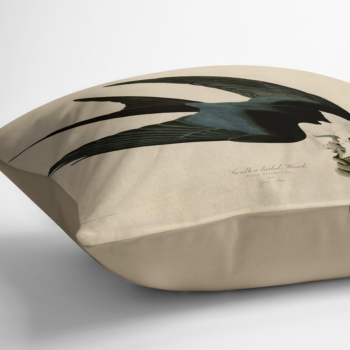 Swallow tailed Hawk by Audubon Cushion