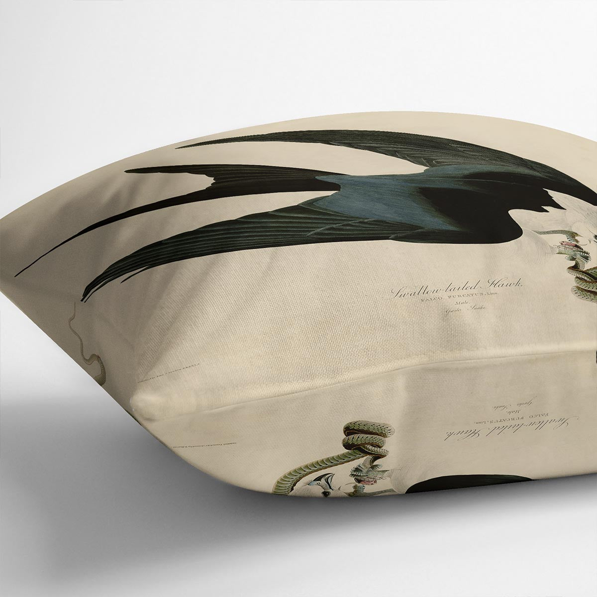 Swallow tailed Hawk by Audubon Cushion
