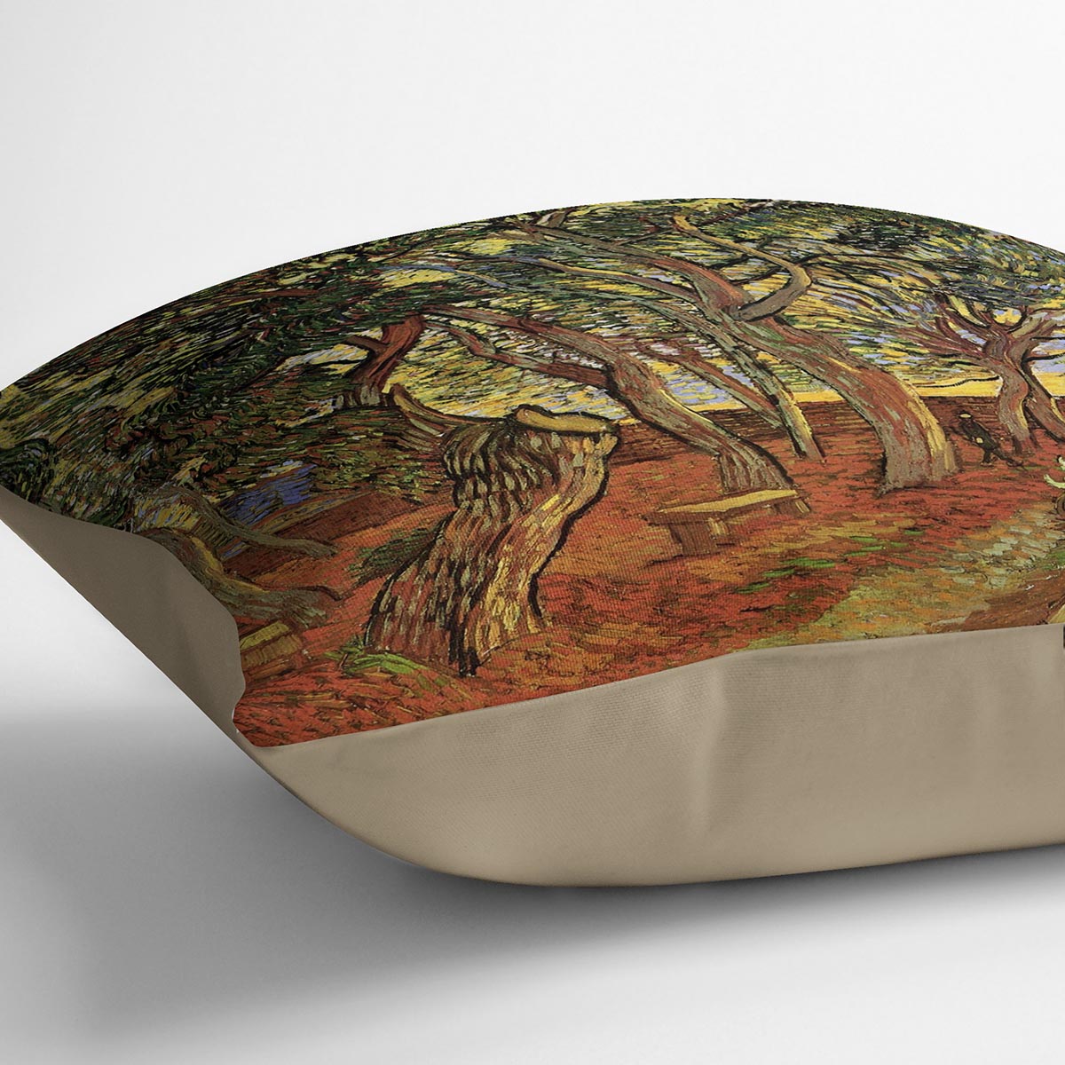 The Garden of Saint-Paul Hospital 4 by Van Gogh Cushion