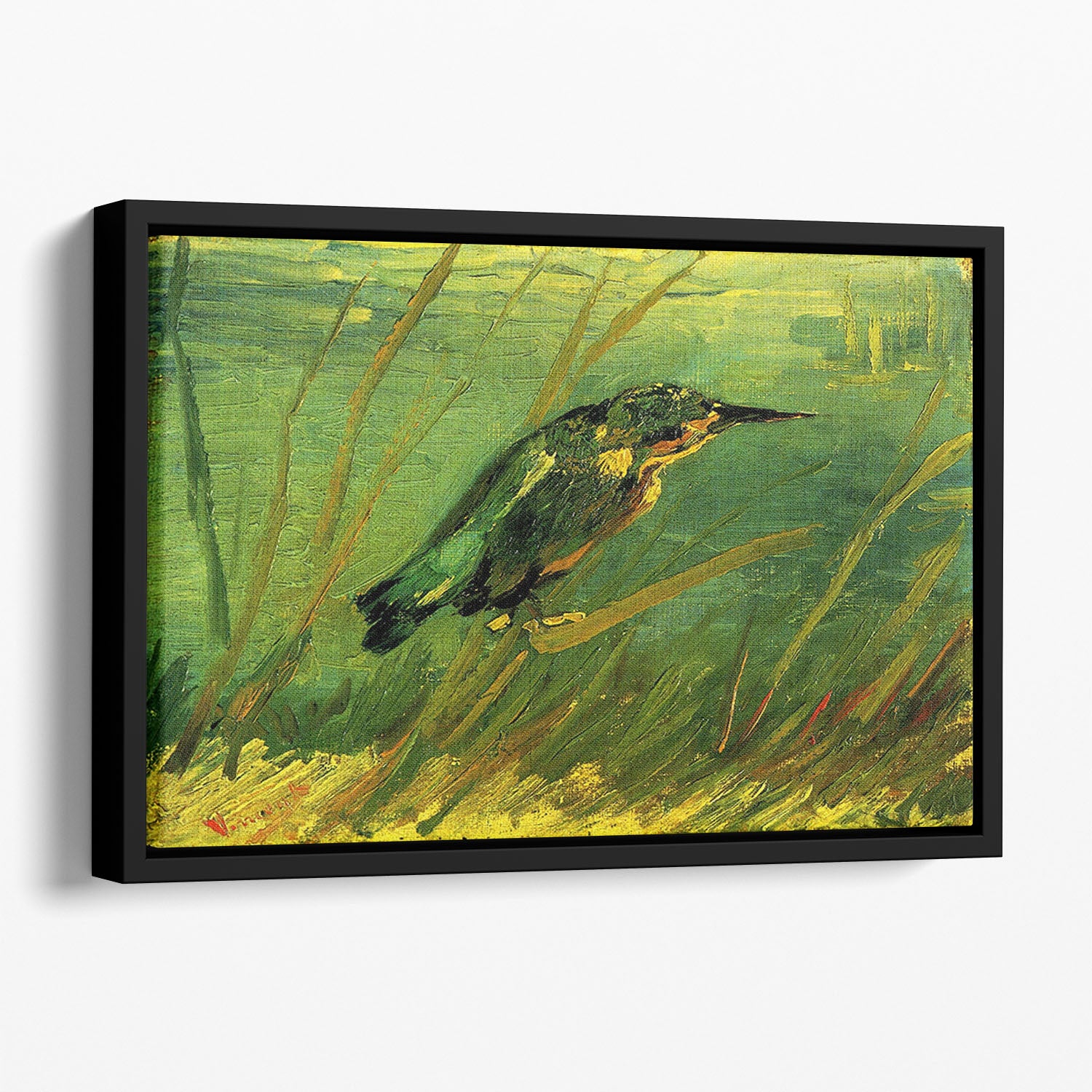 The Kingfisher by Van Gogh Floating Framed Canvas