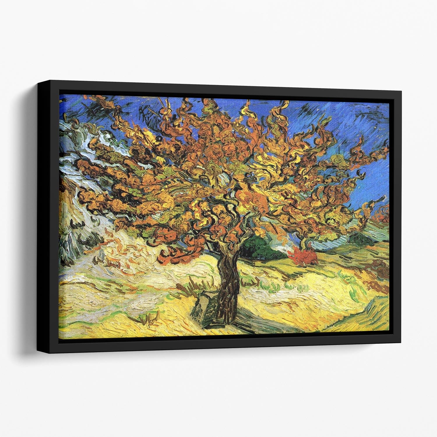 The Mulberry Tree by Van Gogh Floating Framed Canvas