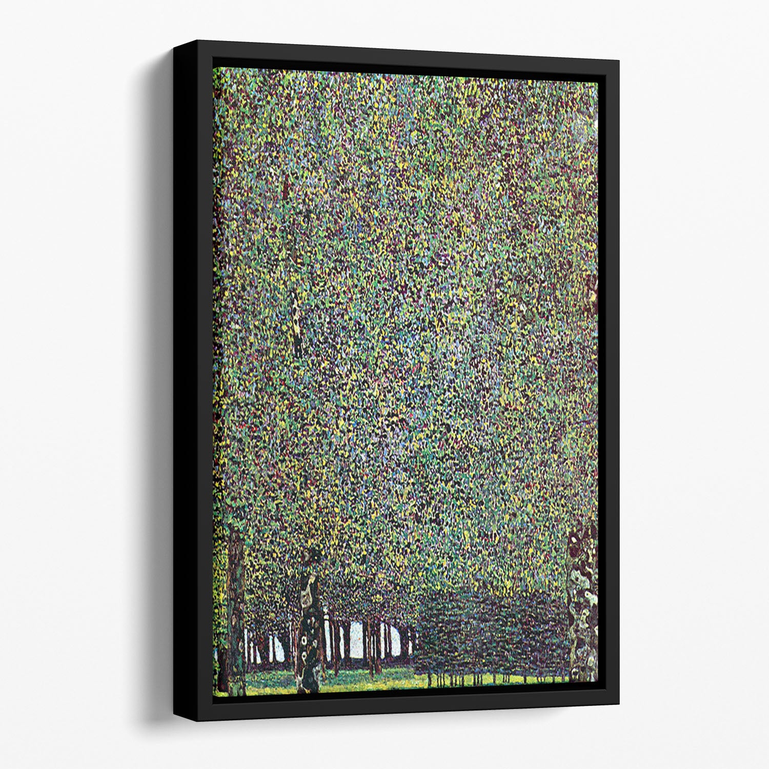 The Park by Klimt Floating Framed Canvas