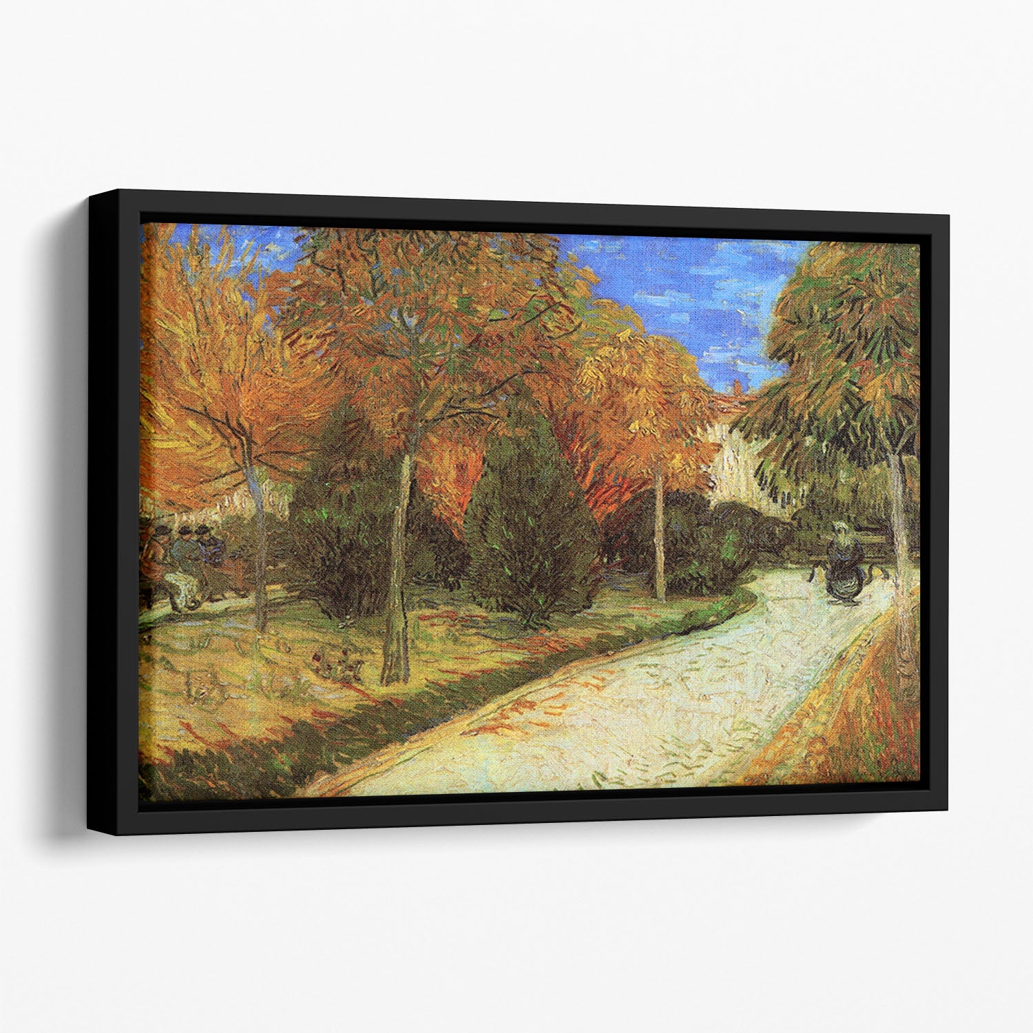 The Public Park at Arles by Van Gogh Floating Framed Canvas