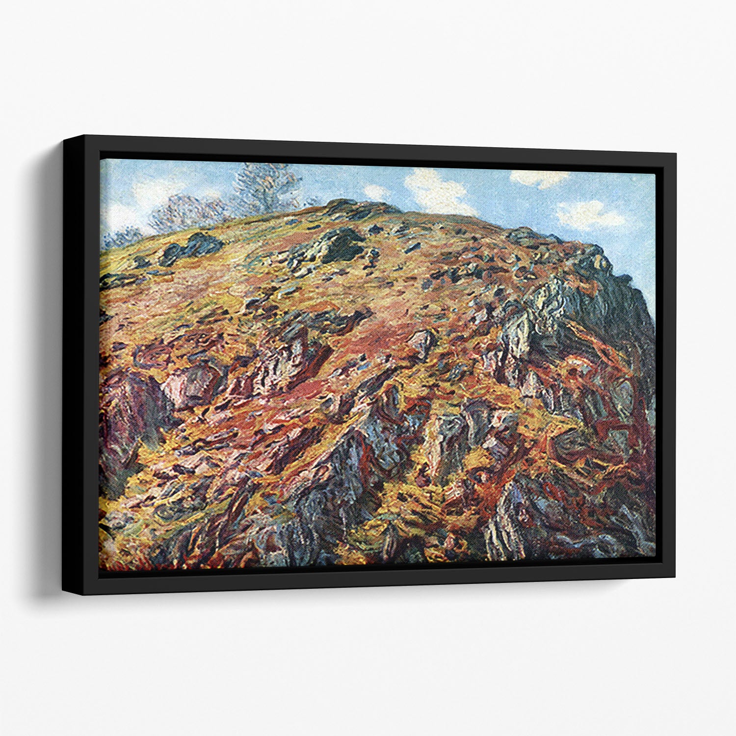 The boulder by Monet Floating Framed Canvas