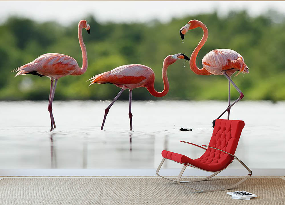 The pink Caribbean flamingo Wall Mural Wallpaper - Canvas Art Rocks - 2