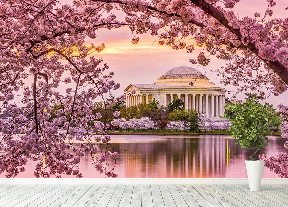 Tidal Basin and Jefferson Memorial cherry blossom season Wall Mural Wallpaper - Canvas Art Rocks - 4