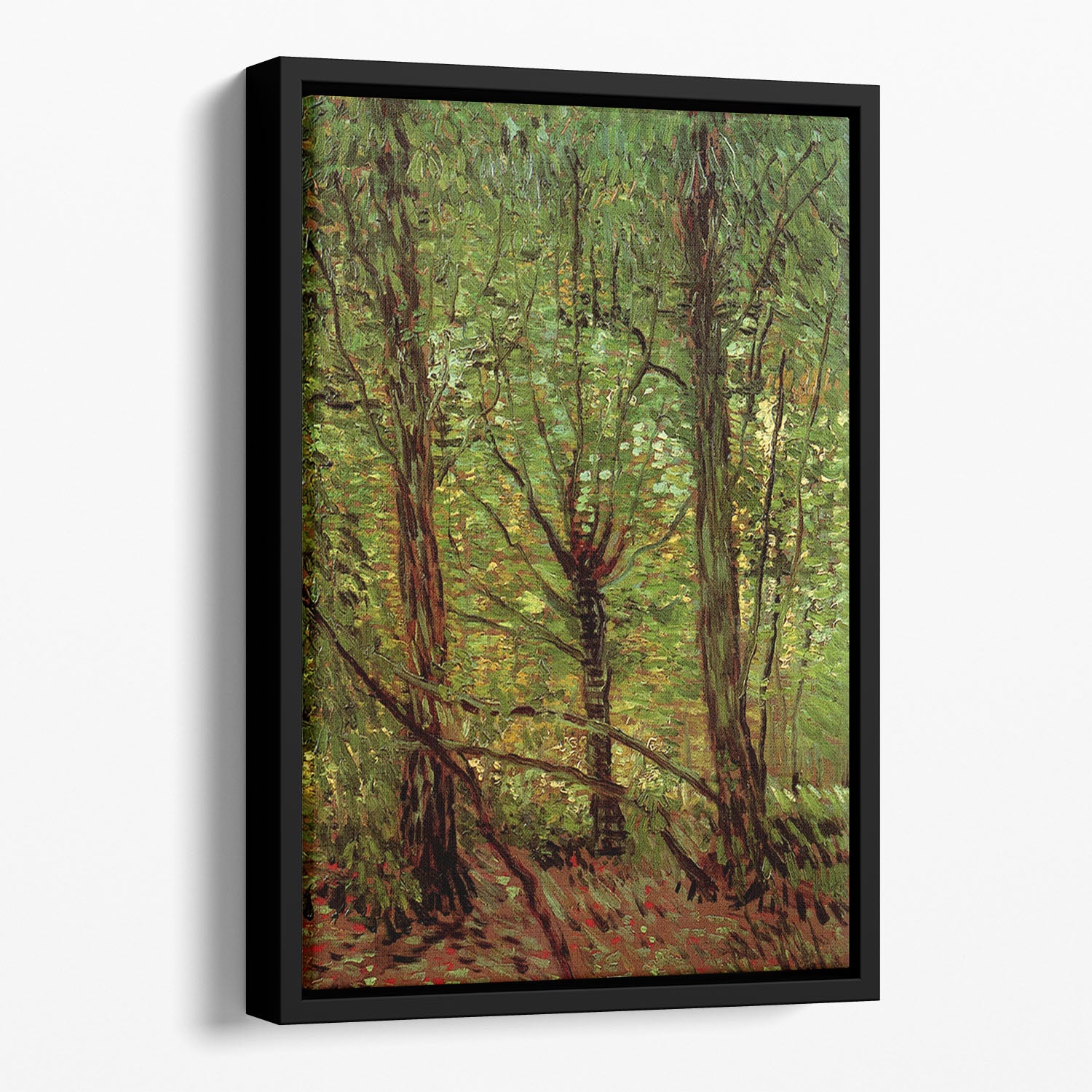 Trees and Undergrowth by Van Gogh Floating Framed Canvas