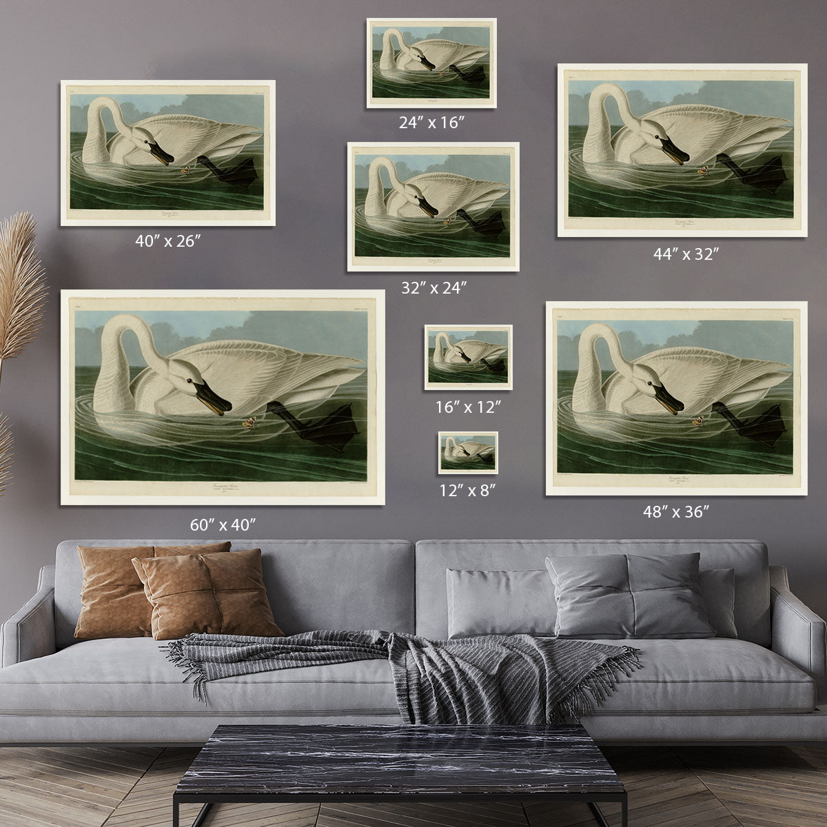 Trumpeter Swan by Audubon Canvas Print or Poster - Canvas Art Rocks - 7