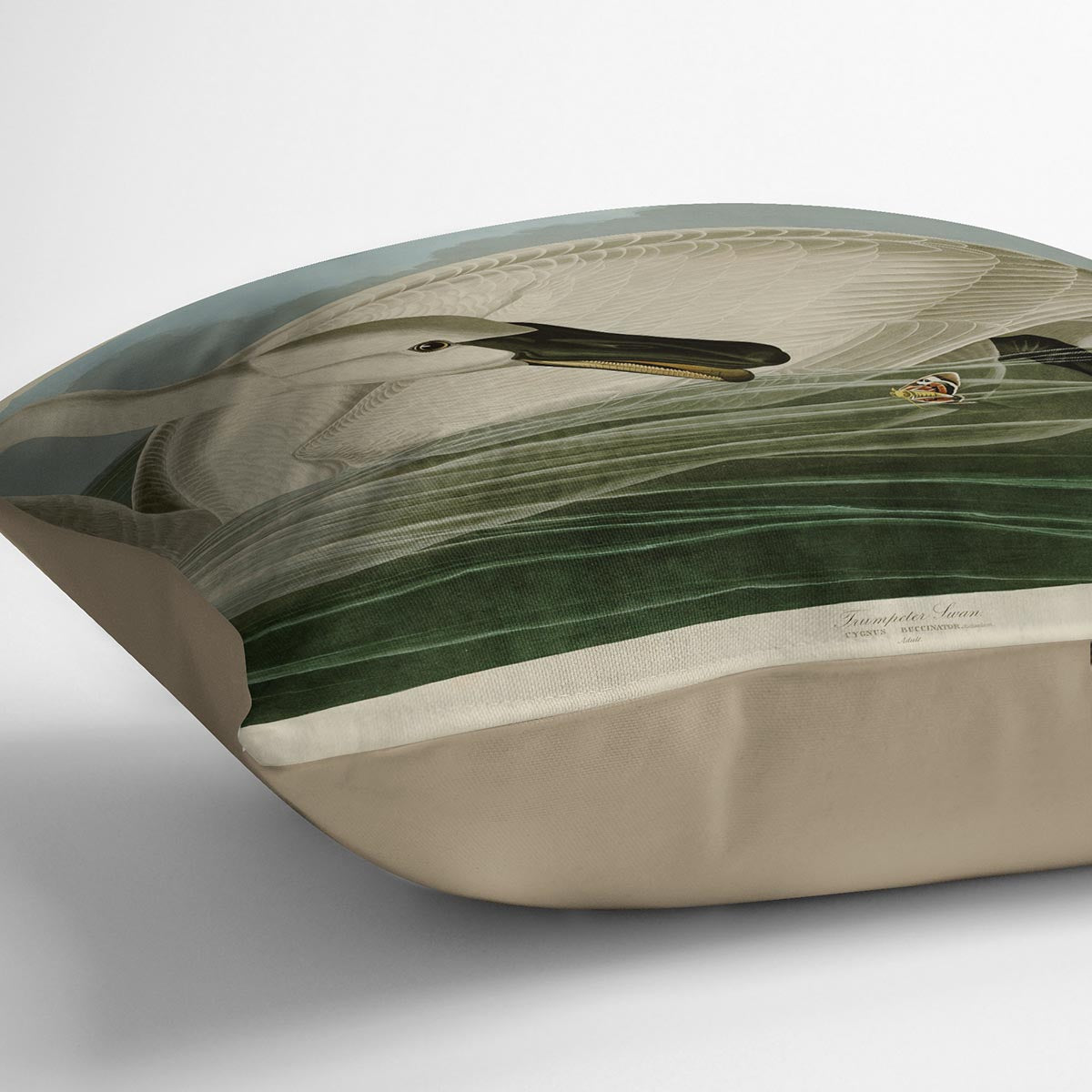 Trumpeter Swan by Audubon Cushion