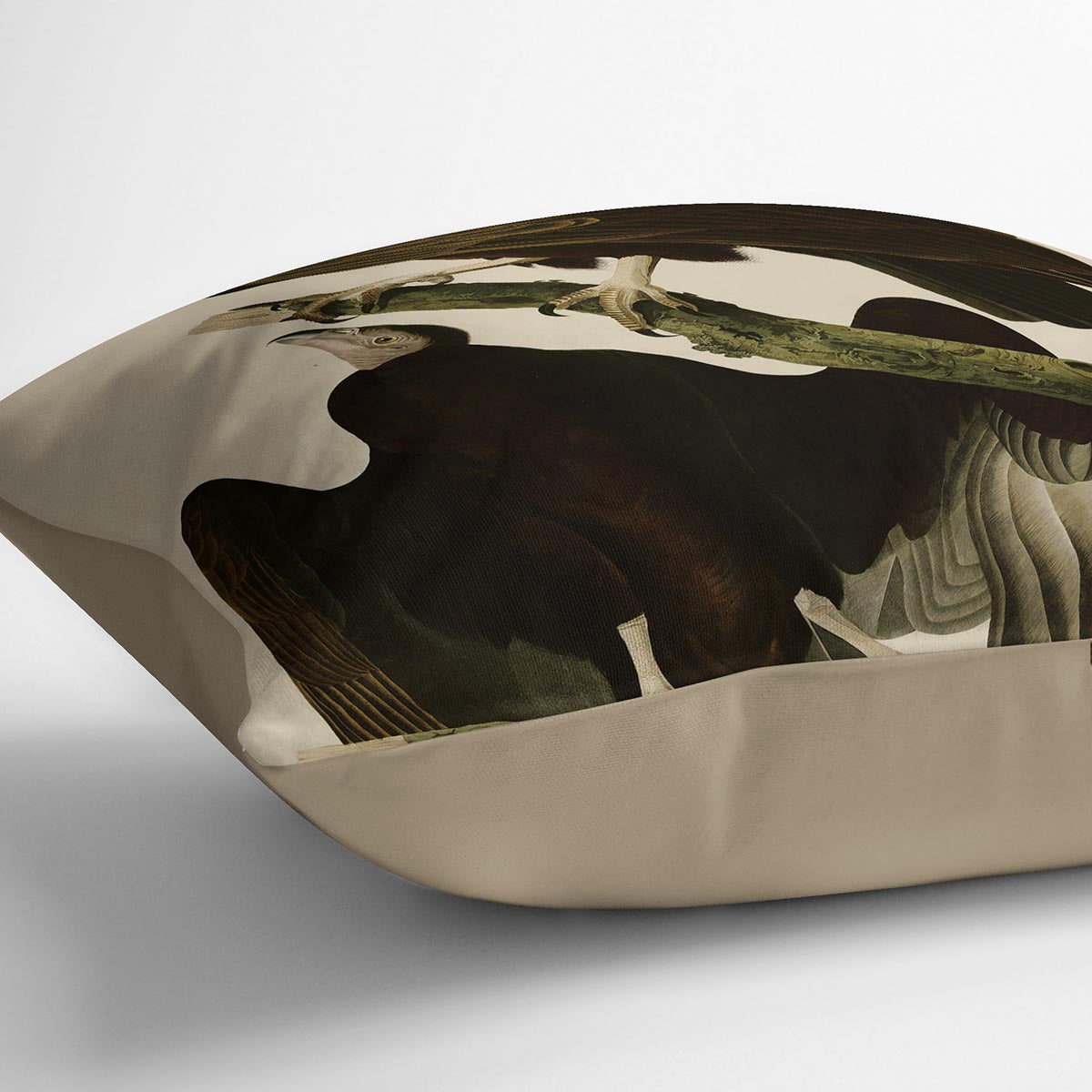 Turkey Buzzard by Audubon Cushion