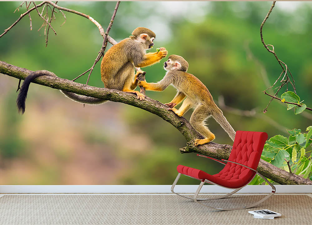 Two common squirrel monkeys Wall Mural Wallpaper - Canvas Art Rocks - 2