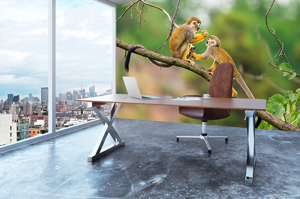Two common squirrel monkeys Wall Mural Wallpaper - Canvas Art Rocks - 3