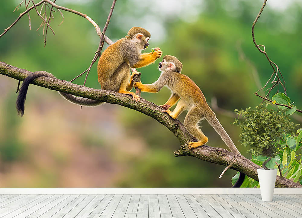 Two common squirrel monkeys Wall Mural Wallpaper - Canvas Art Rocks - 4