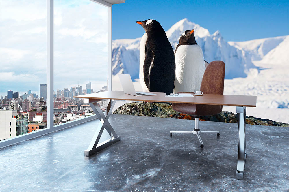 Two penguins dreaming together sitting on a rock Wall Mural Wallpaper - Canvas Art Rocks - 3