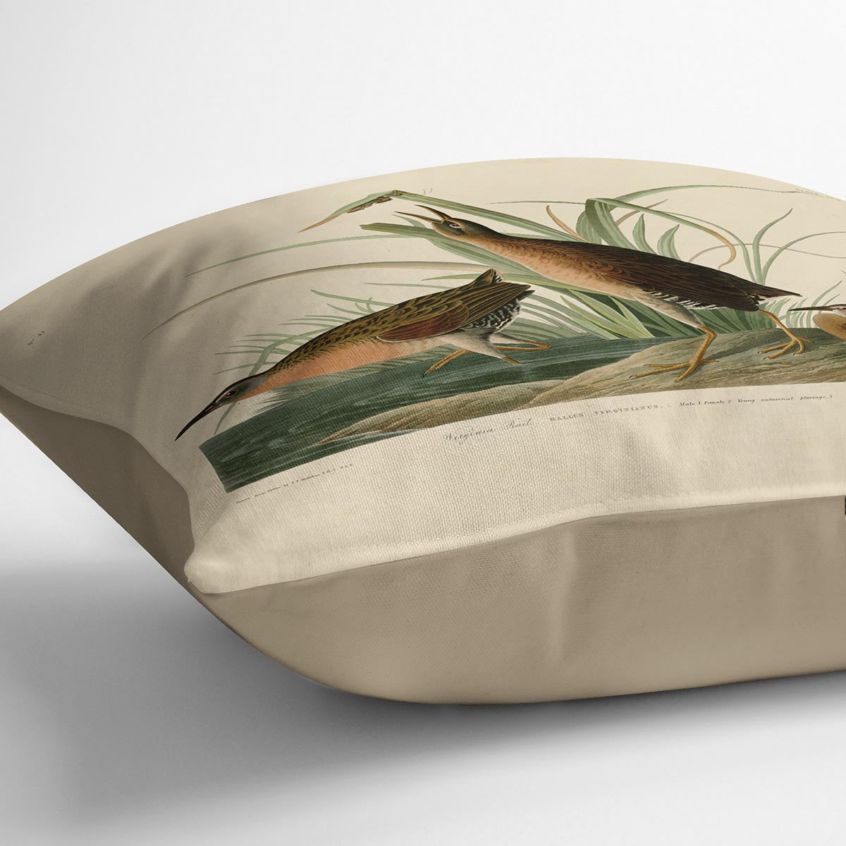 Virginia Rail by Audubon Cushion