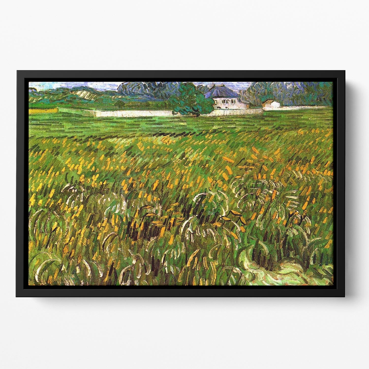 Wheat Field at Auvers with White House by Van Gogh Floating Framed Canvas