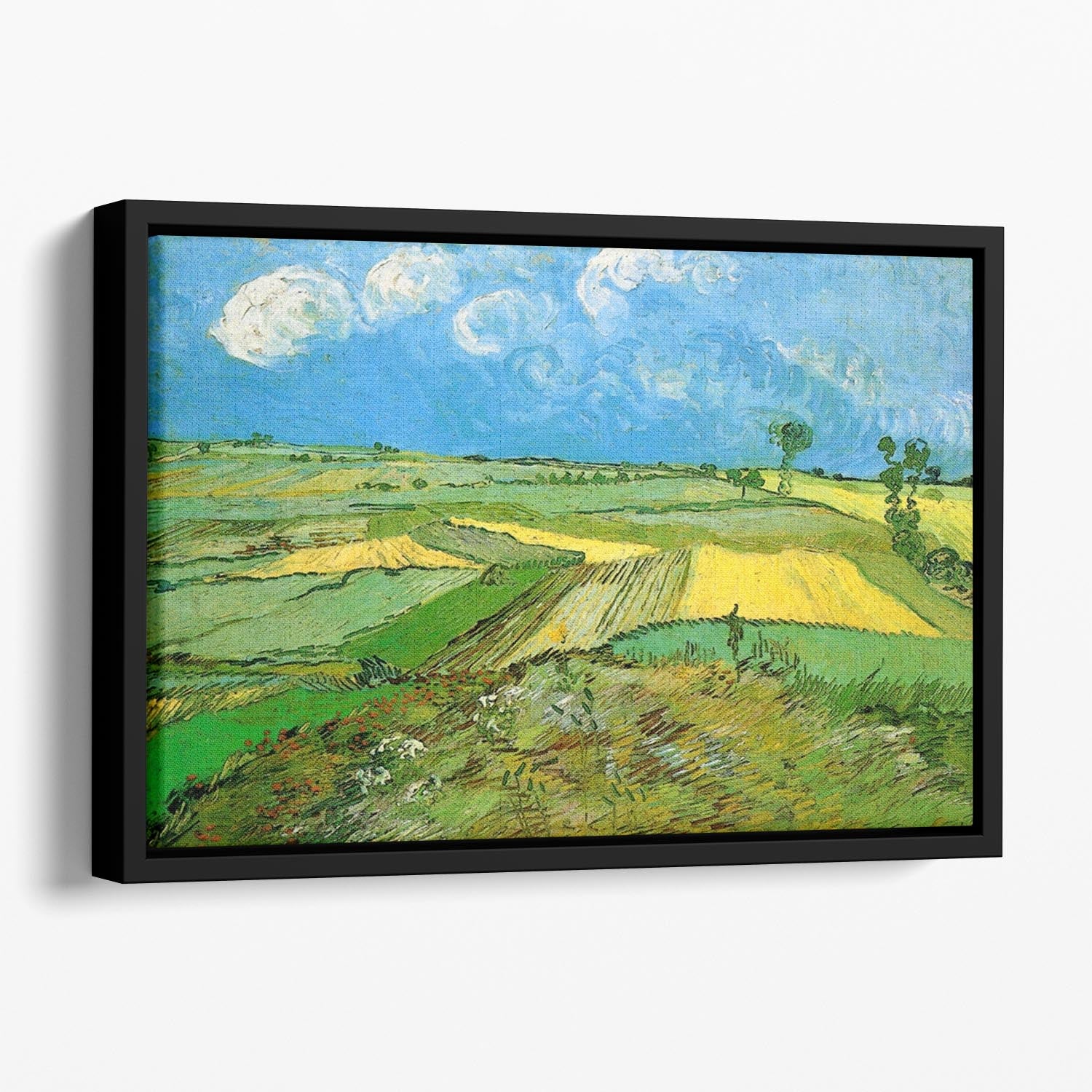 Wheat Fields at Auvers Under Clouded Sky by Van Gogh Floating Framed Canvas