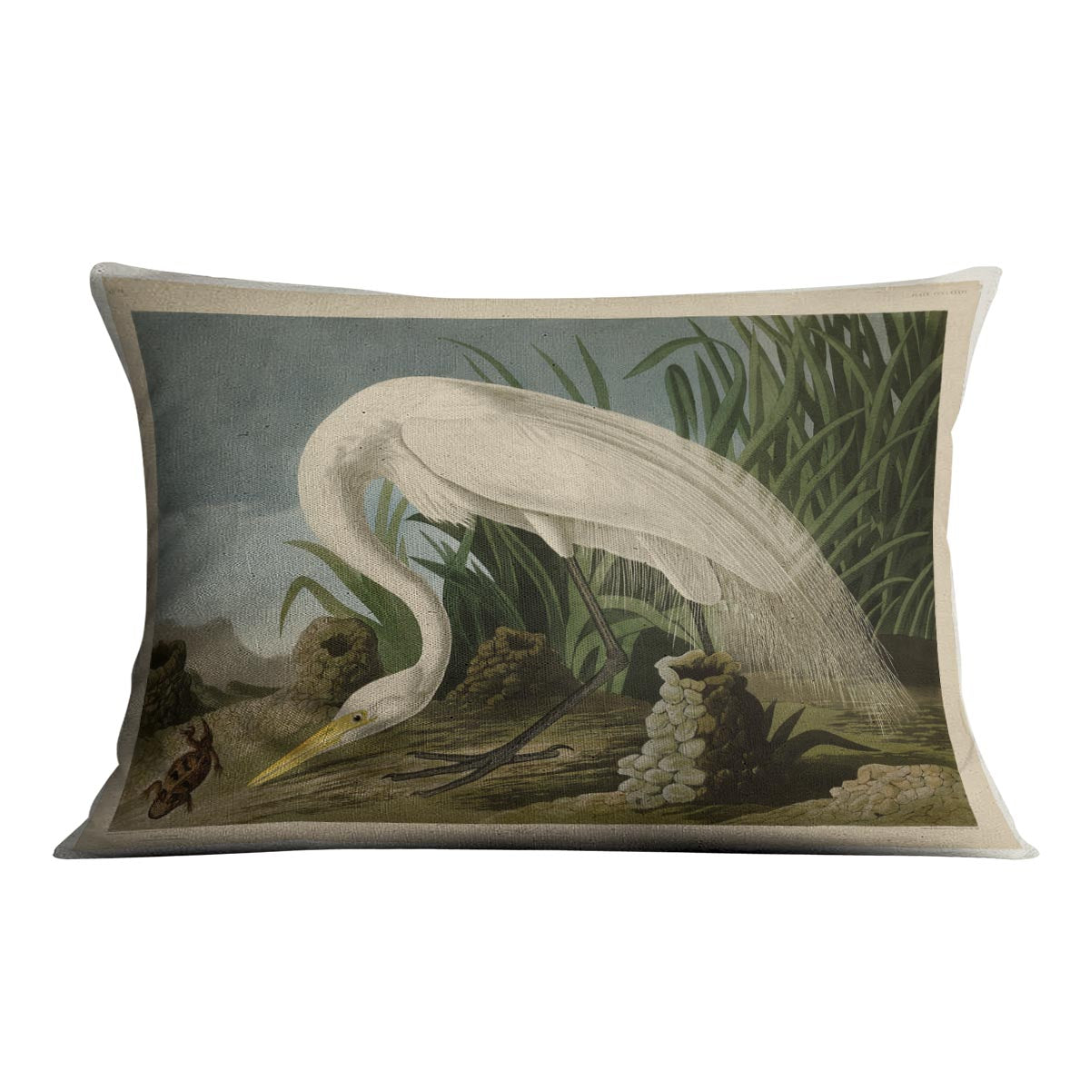 White Heron by Audubon Cushion