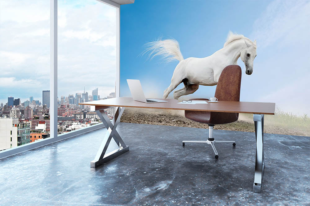 White arabian horse Wall Mural Wallpaper - Canvas Art Rocks - 3