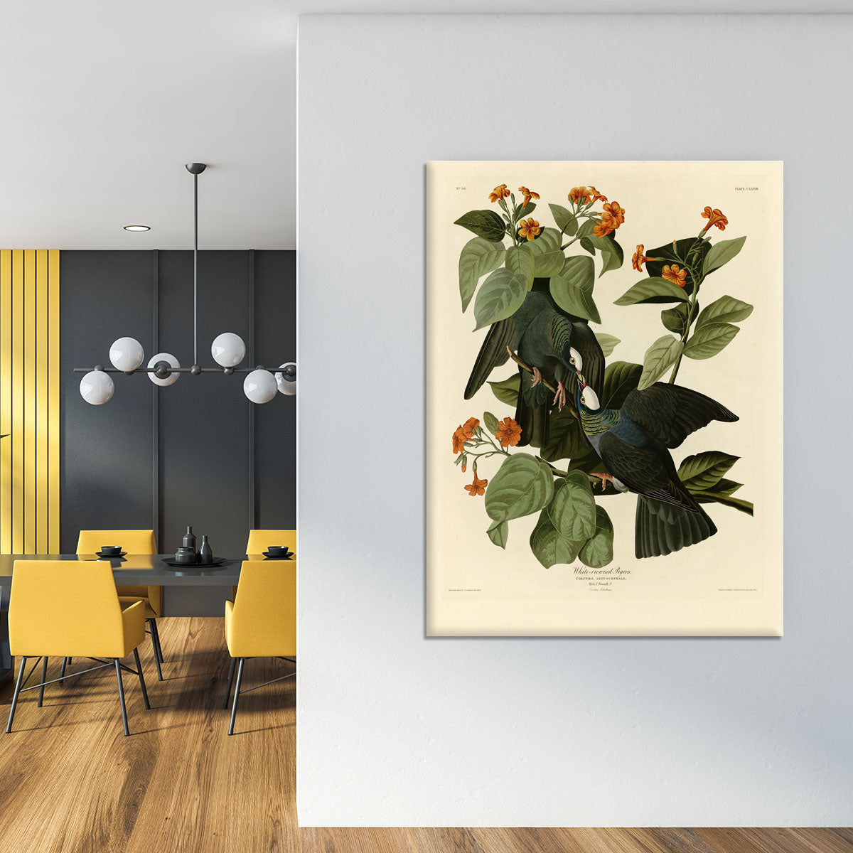 White crowned Pigeon by Audubon Canvas Print or Poster - Canvas Art Rocks - 4