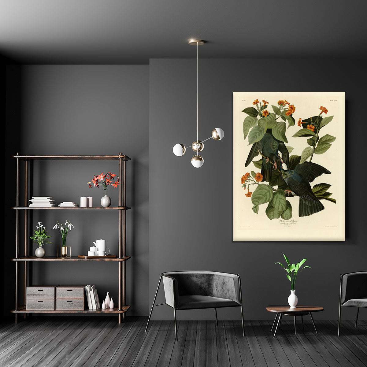 White crowned Pigeon by Audubon Canvas Print or Poster - Canvas Art Rocks - 5