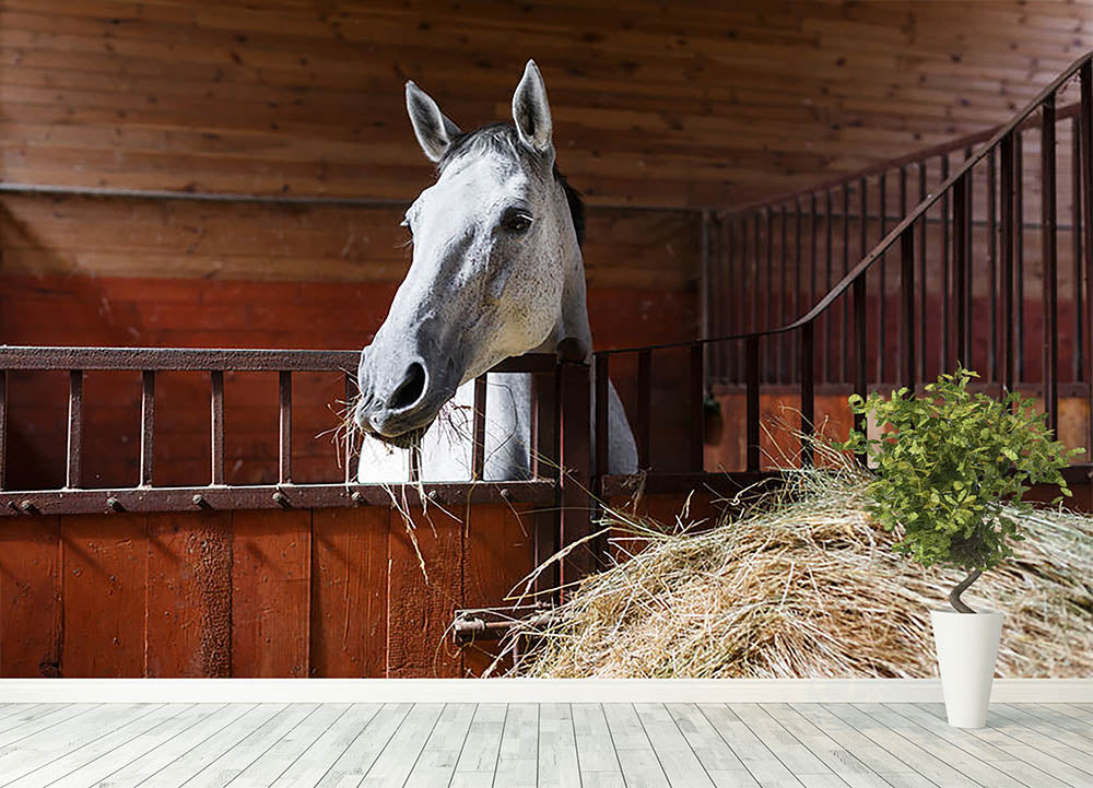 White horse eating hay in the stable Wall Mural Wallpaper - Canvas Art Rocks - 4