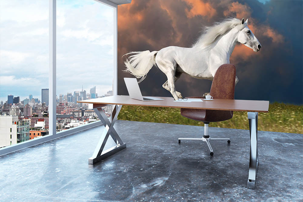 White horse runs gallop on the dark sky Wall Mural Wallpaper - Canvas Art Rocks - 3