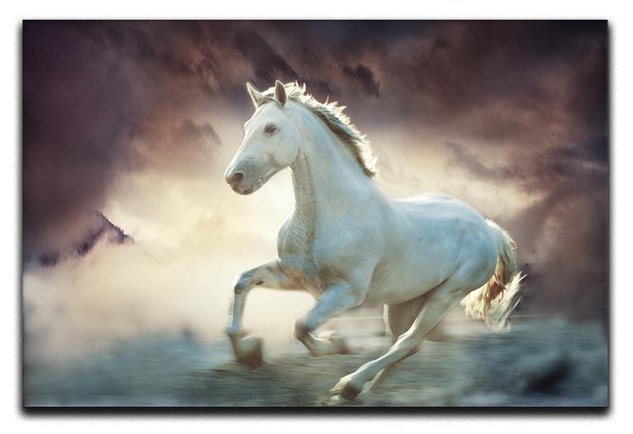 White running horse Canvas Print or Poster - Canvas Art Rocks - 1