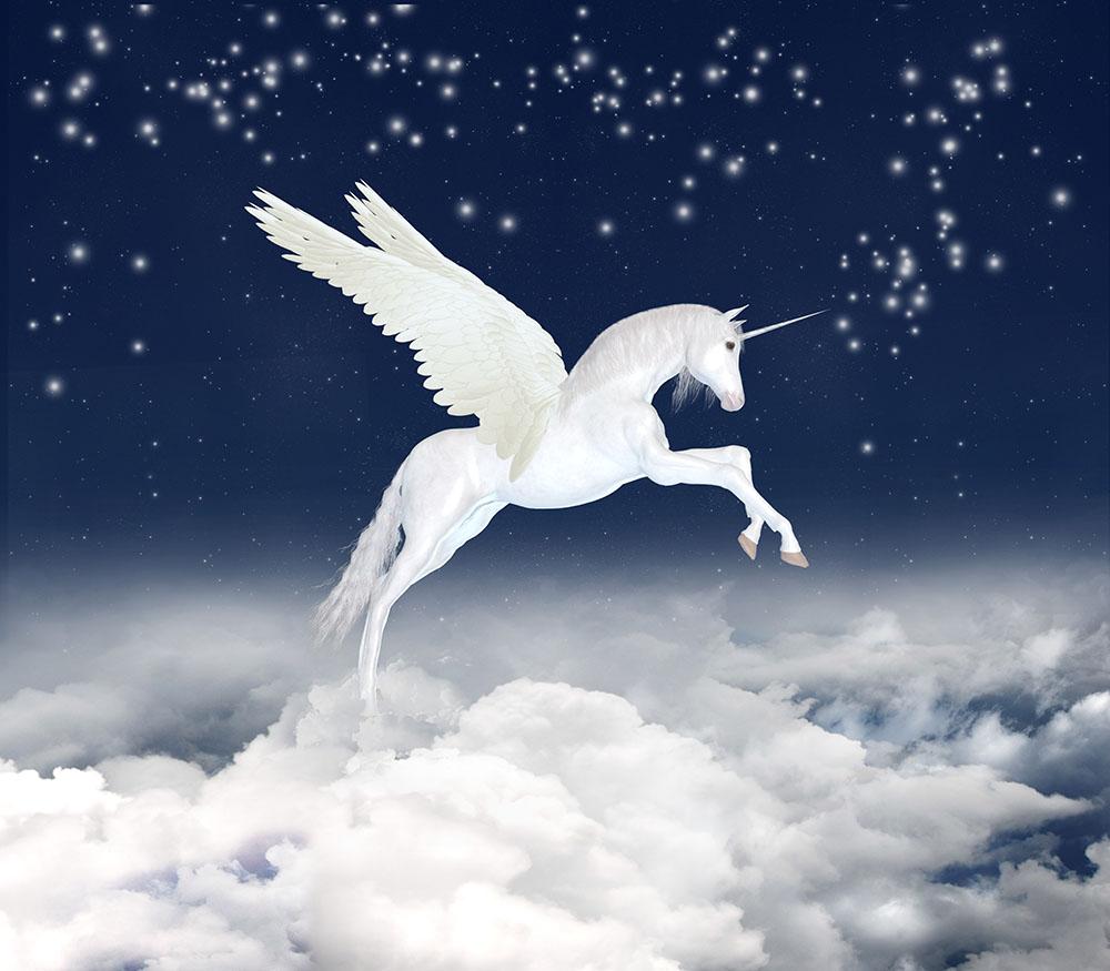 White unicorn flying in the sky Wall Mural Wallpaper - Canvas Art Rocks - 1