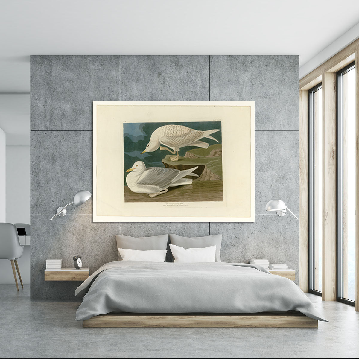White winged silvery Gull by Audubon Canvas Print or Poster - Canvas Art Rocks - 5