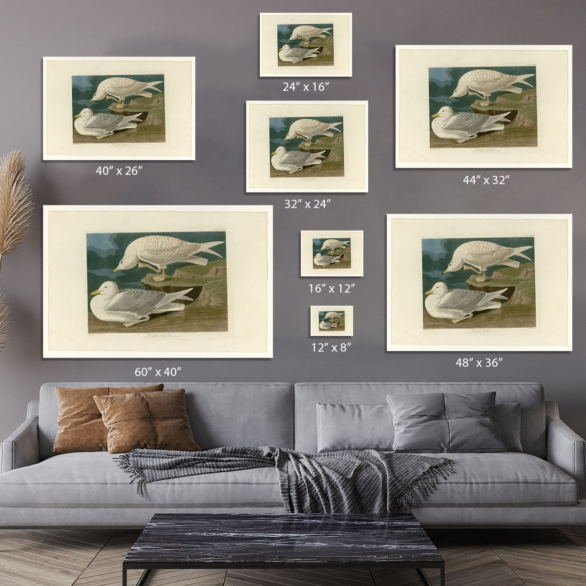 White winged silvery Gull by Audubon Canvas Print or Poster - Canvas Art Rocks - 7