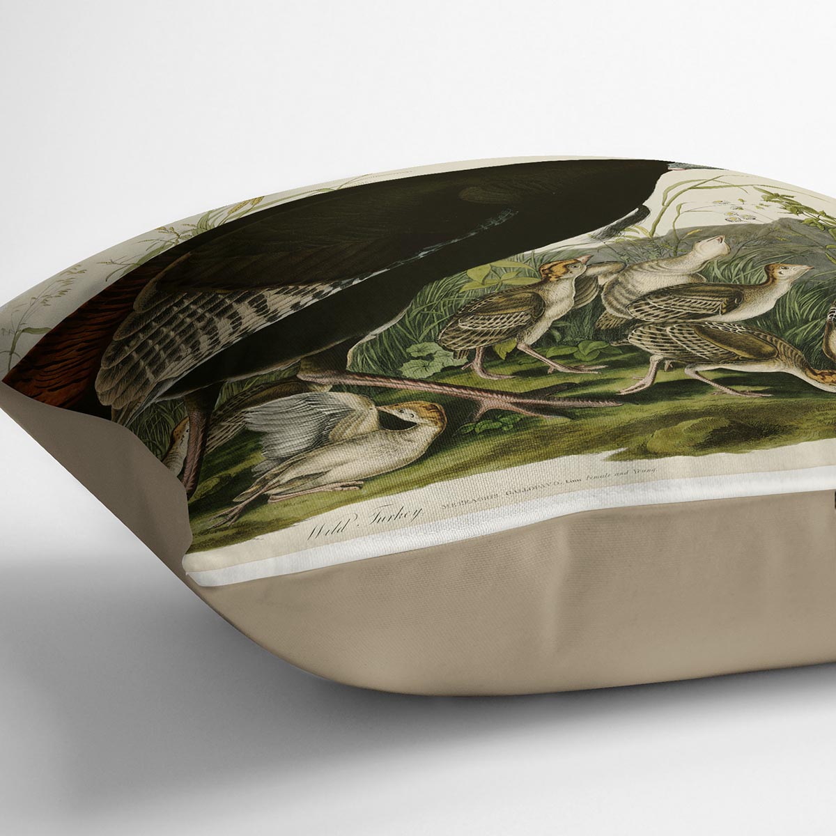 Wild Turkey 2 by Audubon Cushion