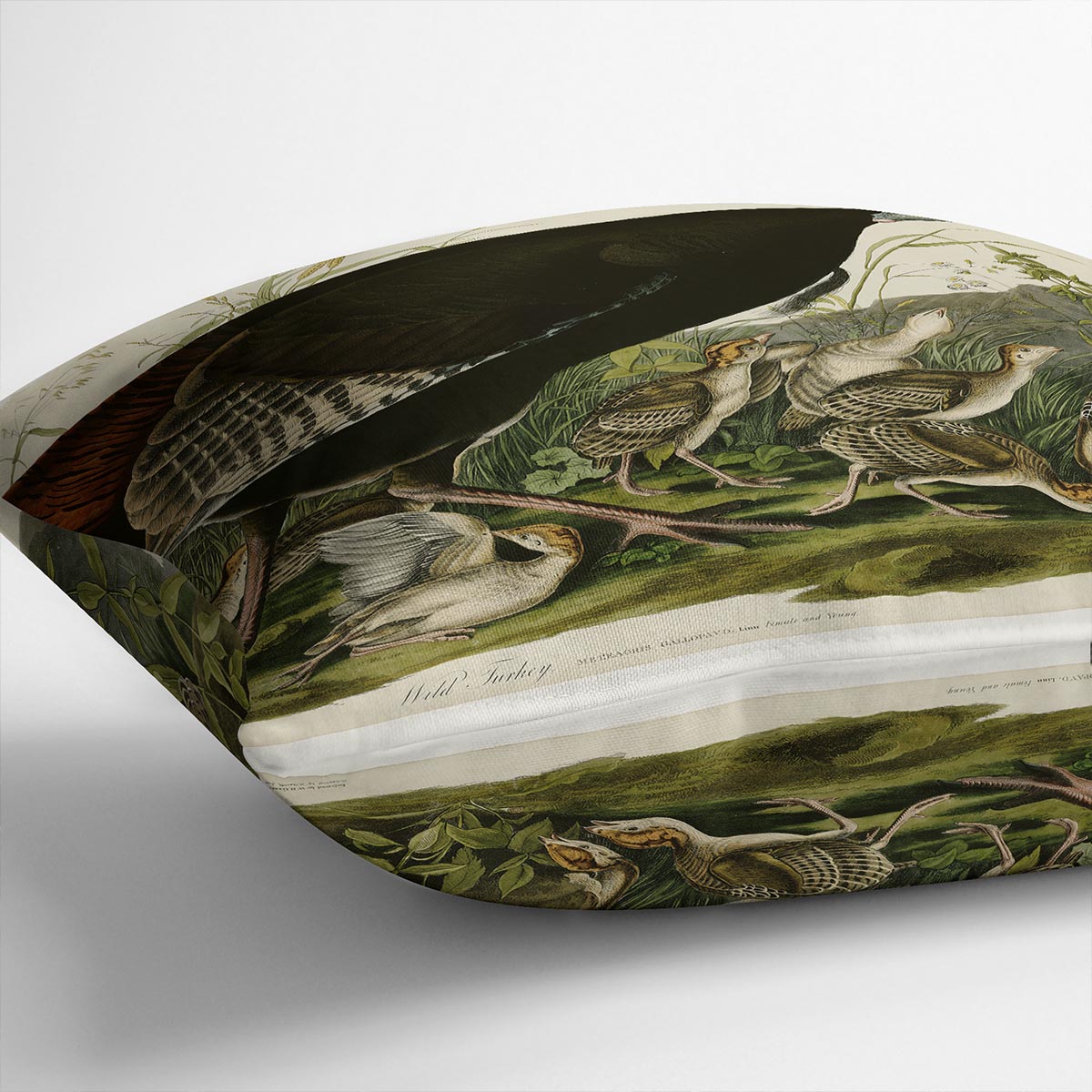 Wild Turkey 2 by Audubon Cushion