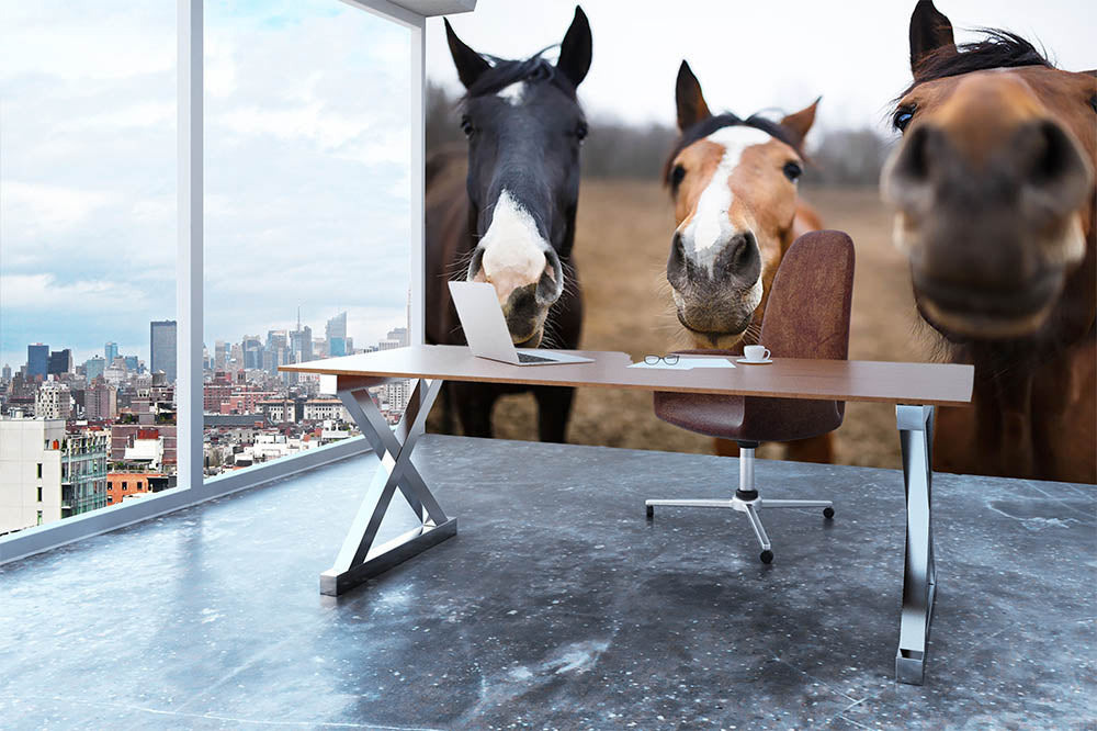 Wild horses on the meadow at spring time Wall Mural Wallpaper - Canvas Art Rocks - 3