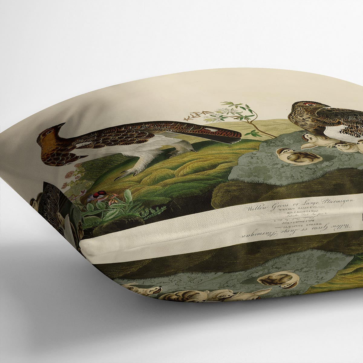 Willow Grouse by Audubon Cushion