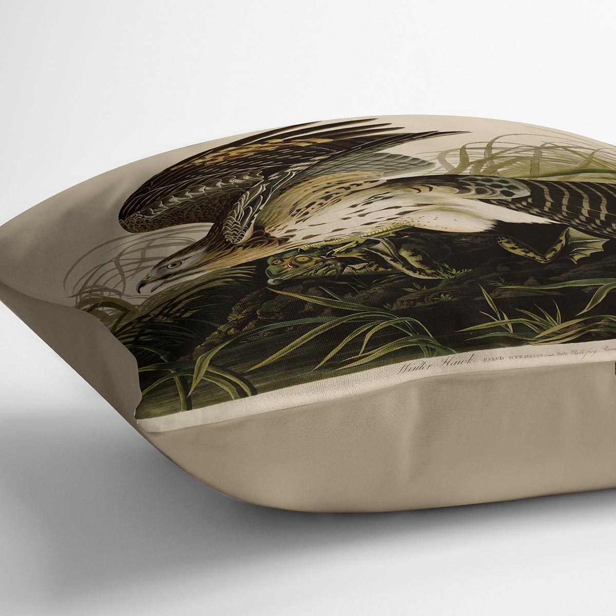 Winter Hawk by Audubon Cushion